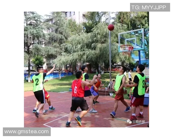 我热爱足球运动的乐趣与激情分享250字心得